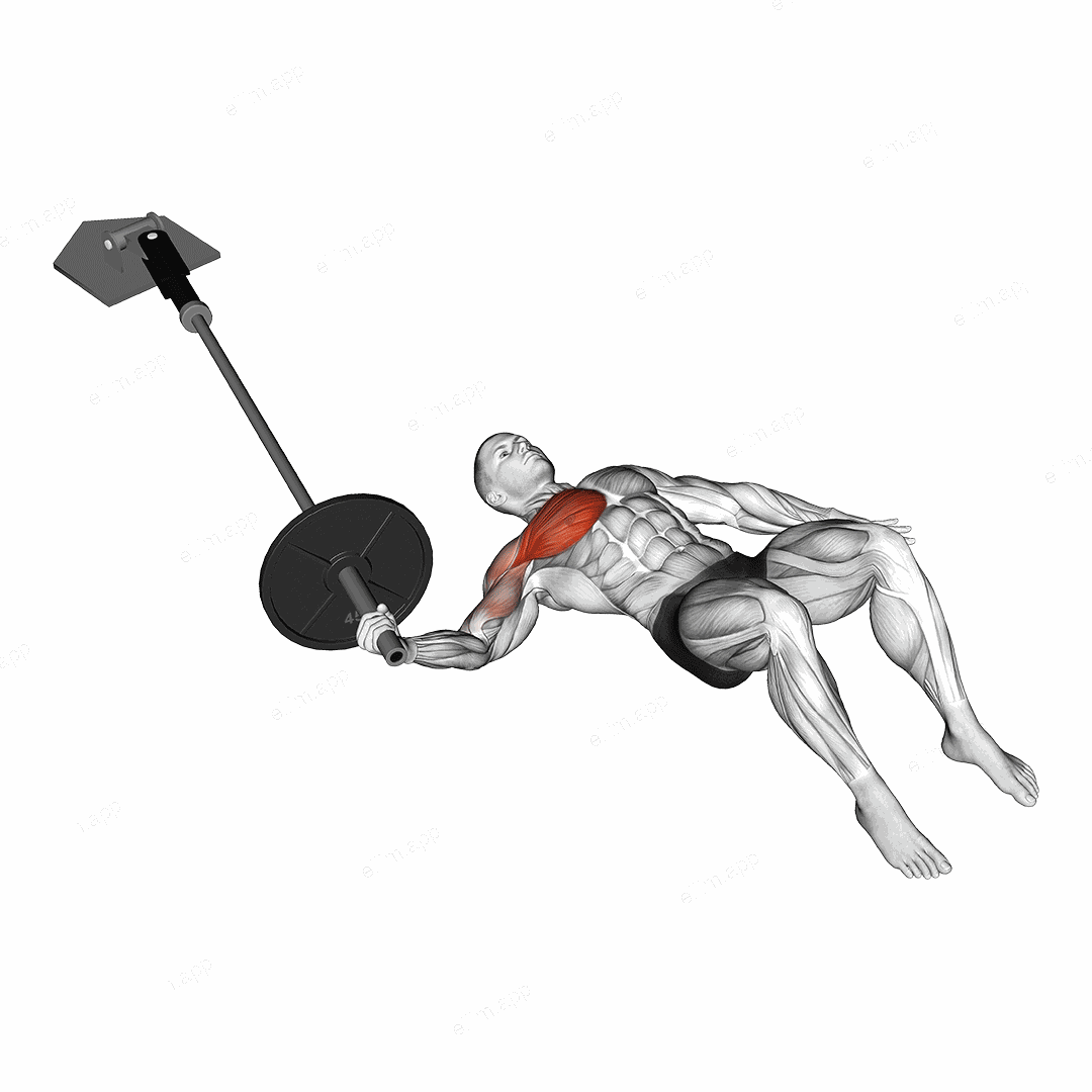 Landmine Floor One Arm Chest Fly exercise targeting Chest and Pectoralis Major Clavicular Head