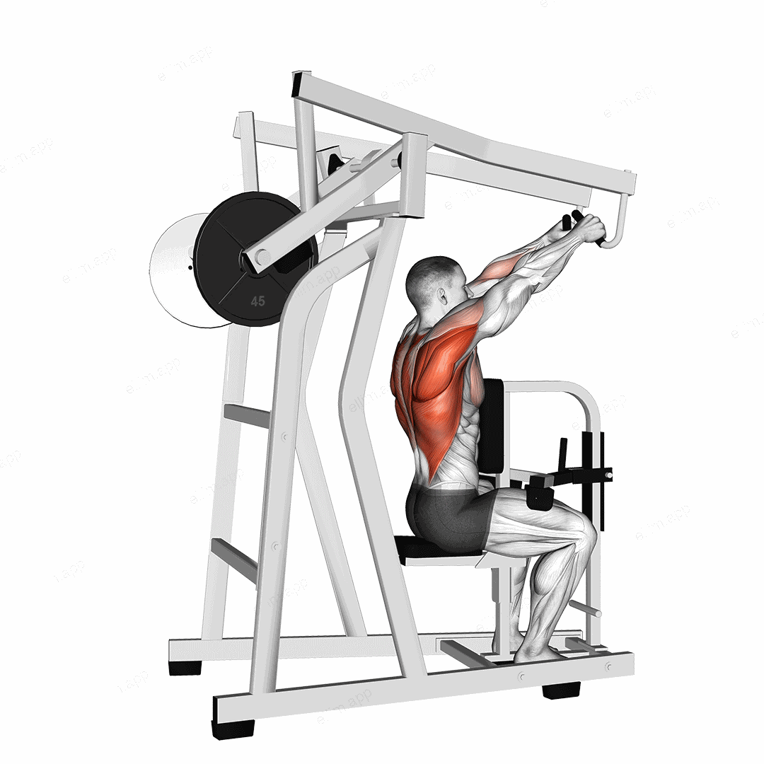 Lever High Row (plate loaded) exercise targeting Back and Infraspinatus