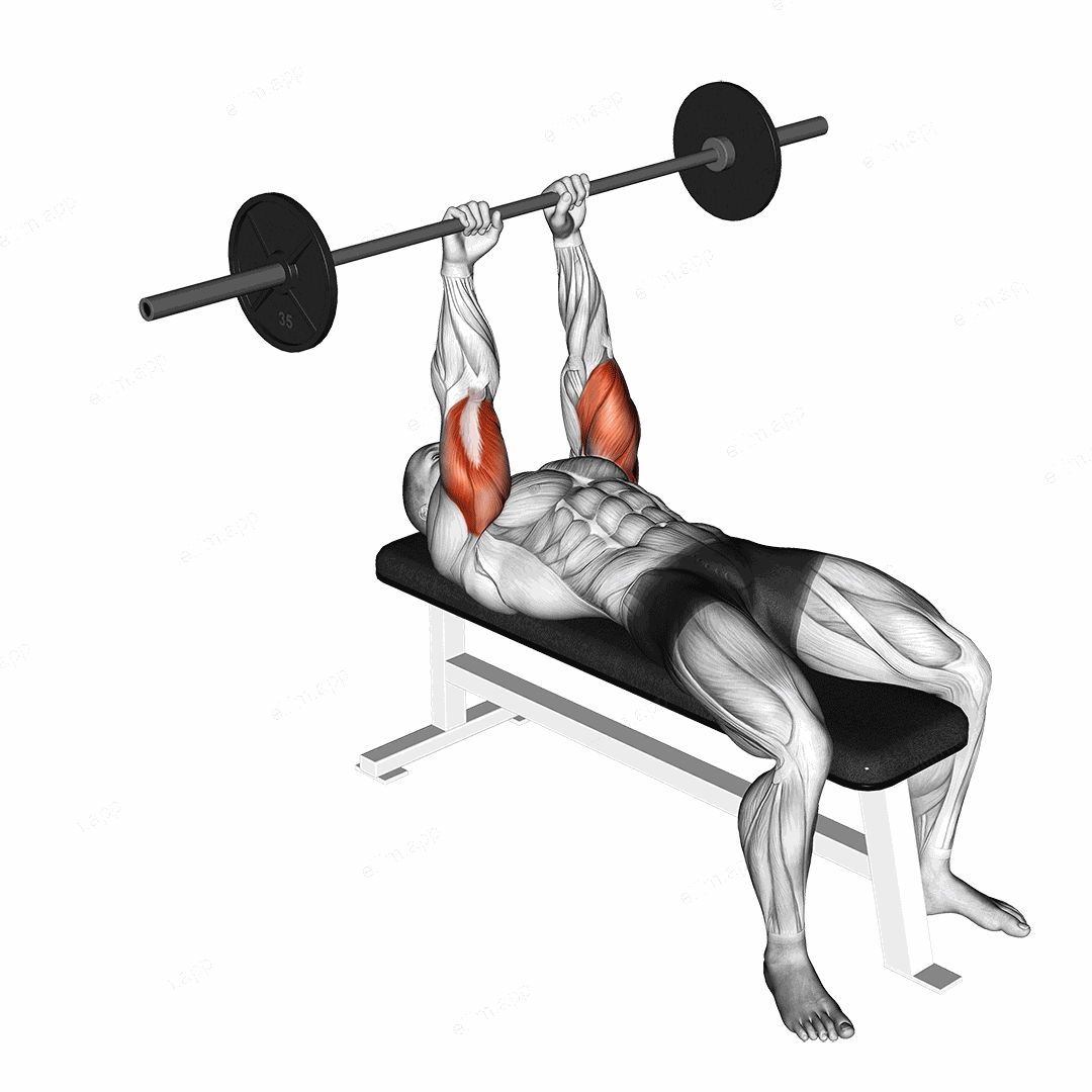 Barbell Lying Triceps Extension exercise targeting Upper Arms and Triceps Brachii