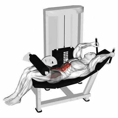 Lever Lying Leg Raise Bent Knee exercise targeting Waist and Iliopsoas