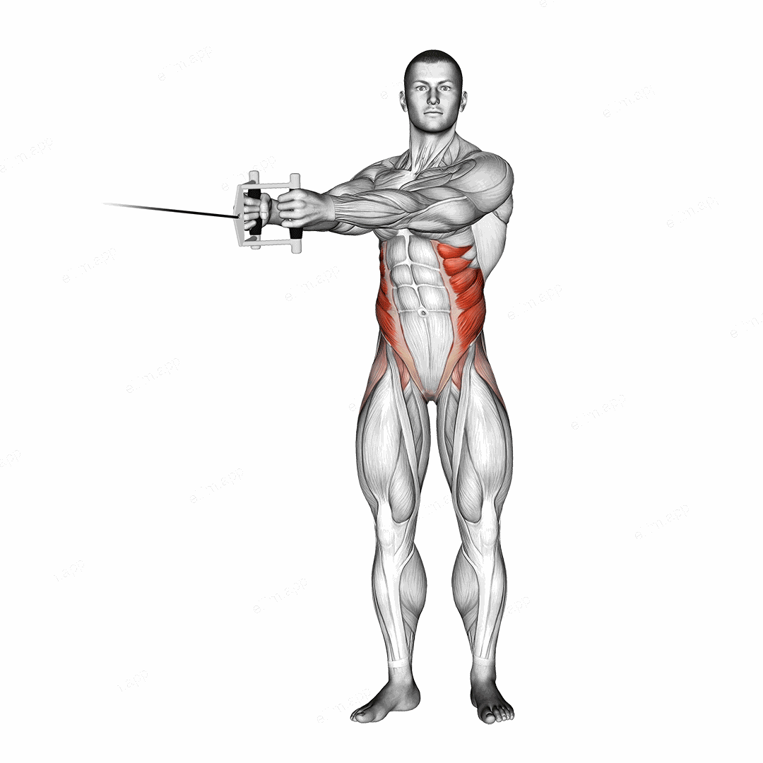 Cable Twist exercise targeting Waist and Obliques