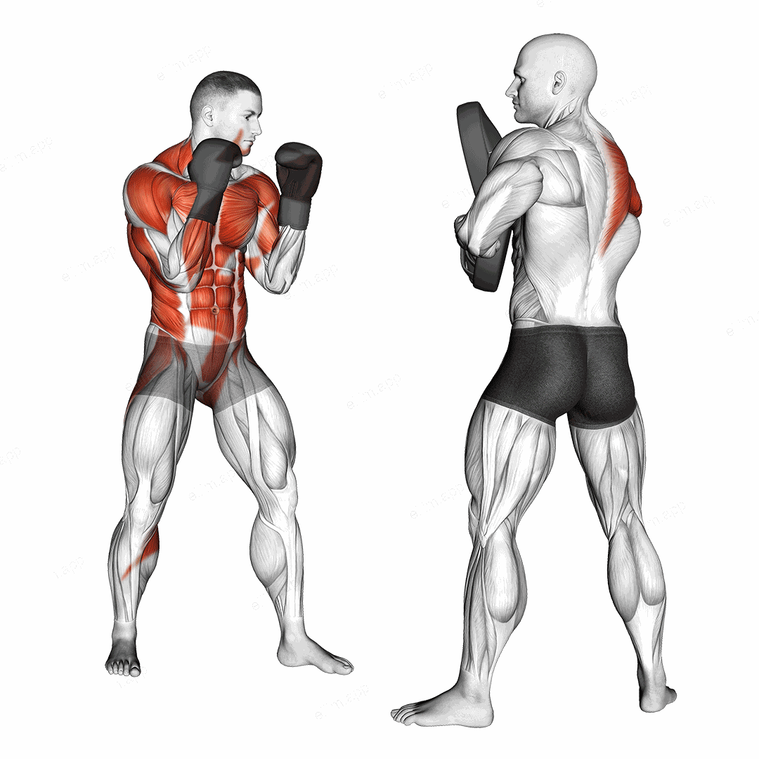 Boxing Right Cross (with partner) exercise targeting Plyometrics