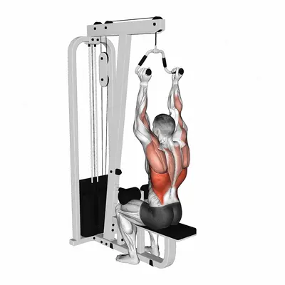 Cable Neutral Grip Lat Pulldown exercise targeting Back