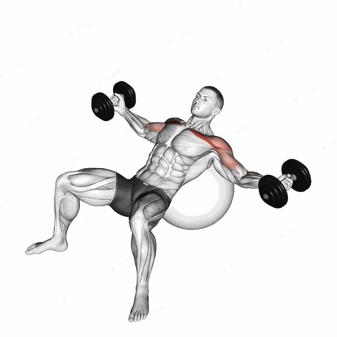 Dumbbell Incline Fly on Exercise Ball exercise targeting Chest and Pectoralis Major Clavicular Head