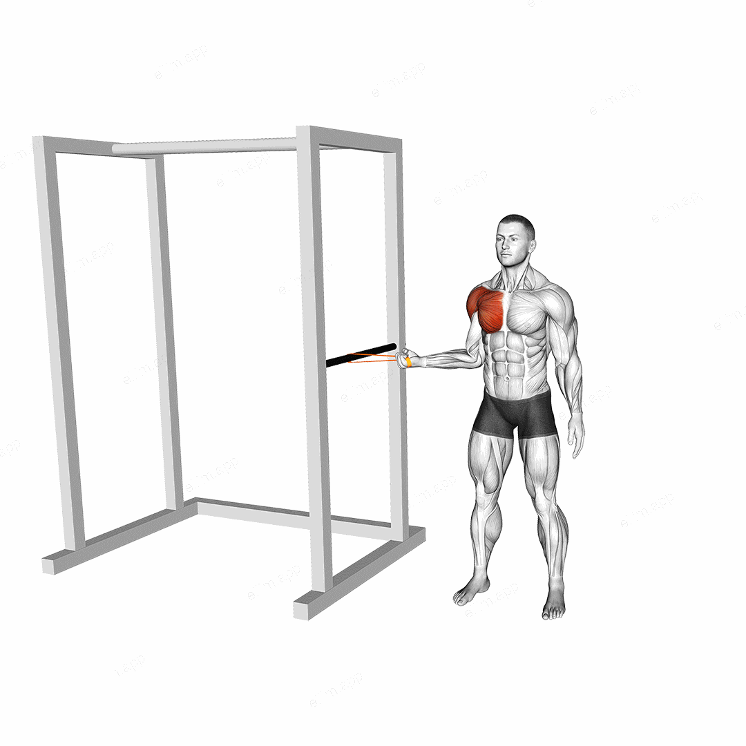 Resistance Band Standing Shoulder Internal Rotation exercise targeting Shoulders