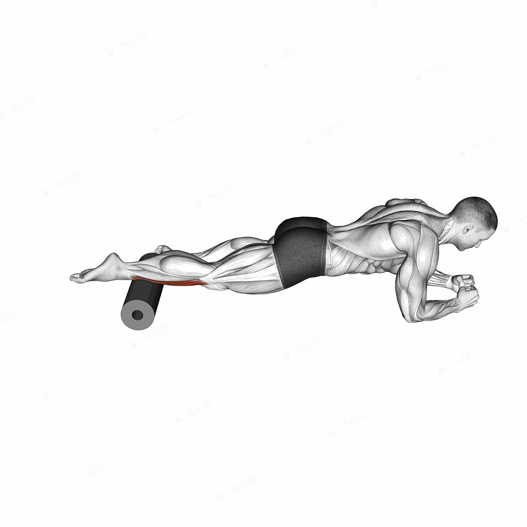 Roll Tibialis Anterior (Single Leg) Lying on Floor exercise targeting Calves
