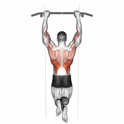 Side To Side Chin exercise targeting Back