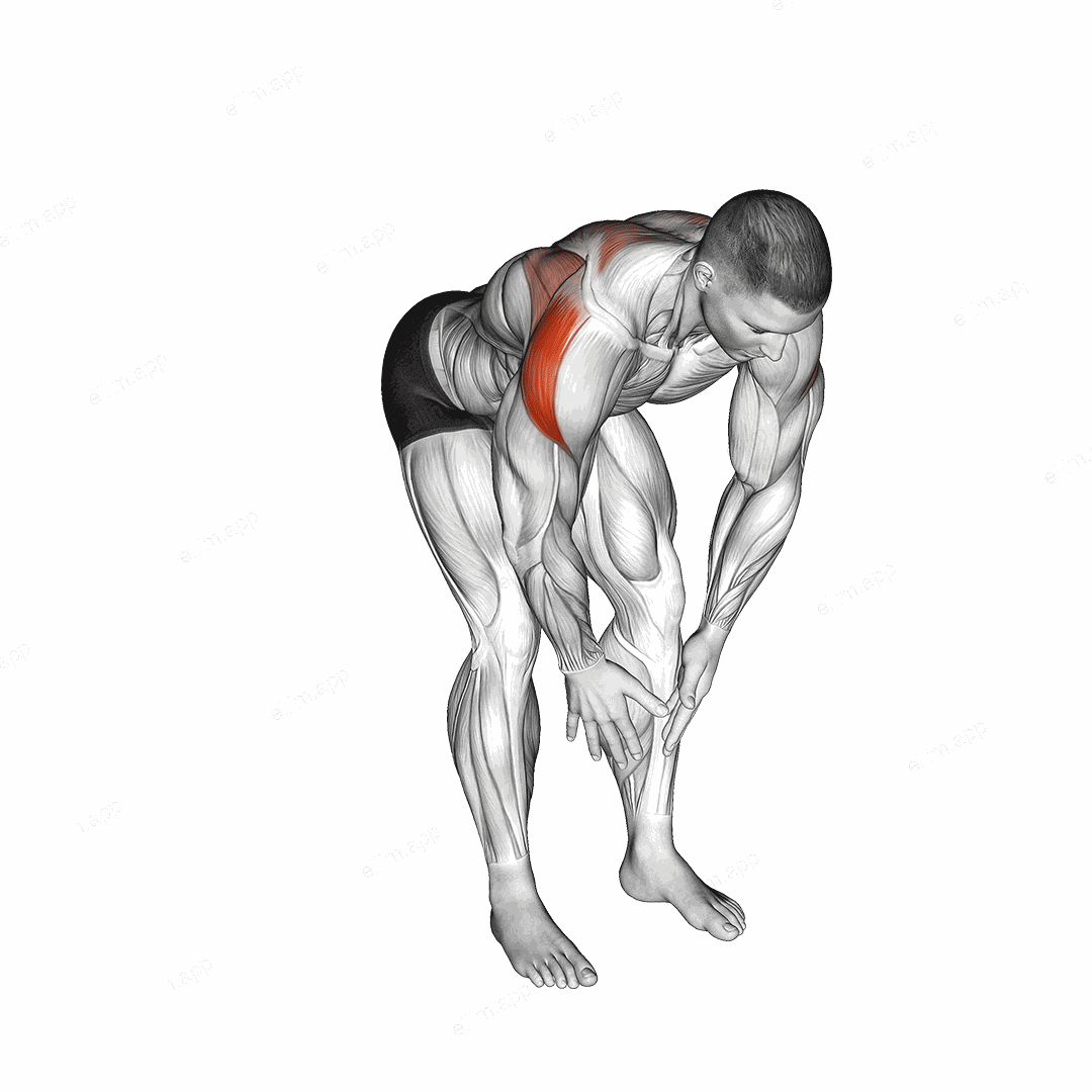 Bodyweight Bent Over Rear Delt Fly exercise targeting Shoulders