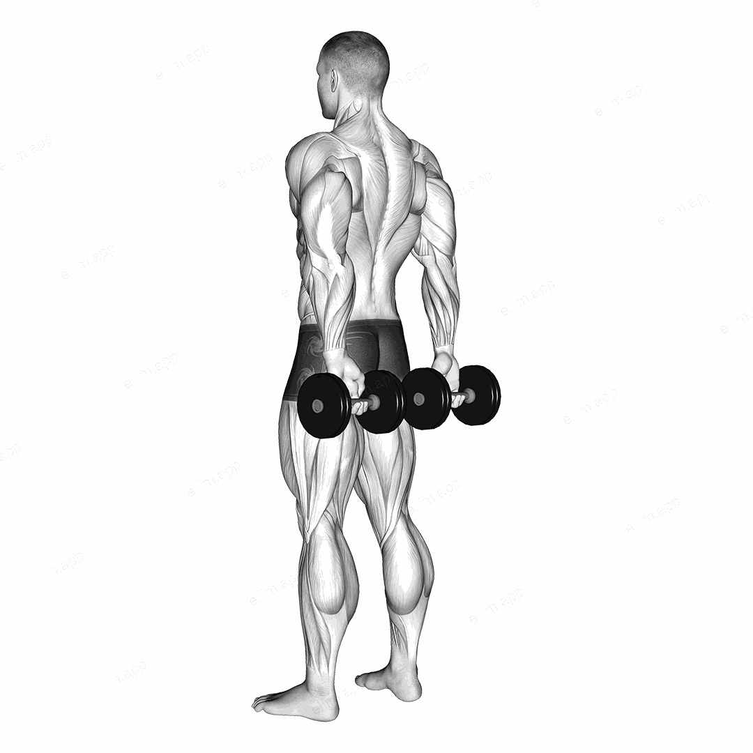 Dumbbell Behind Back Finger Curl exercise targeting Forearms and Wrist Flexors