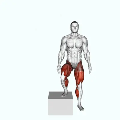 Side to Side Box Shuffle exercise targeting Plyometrics