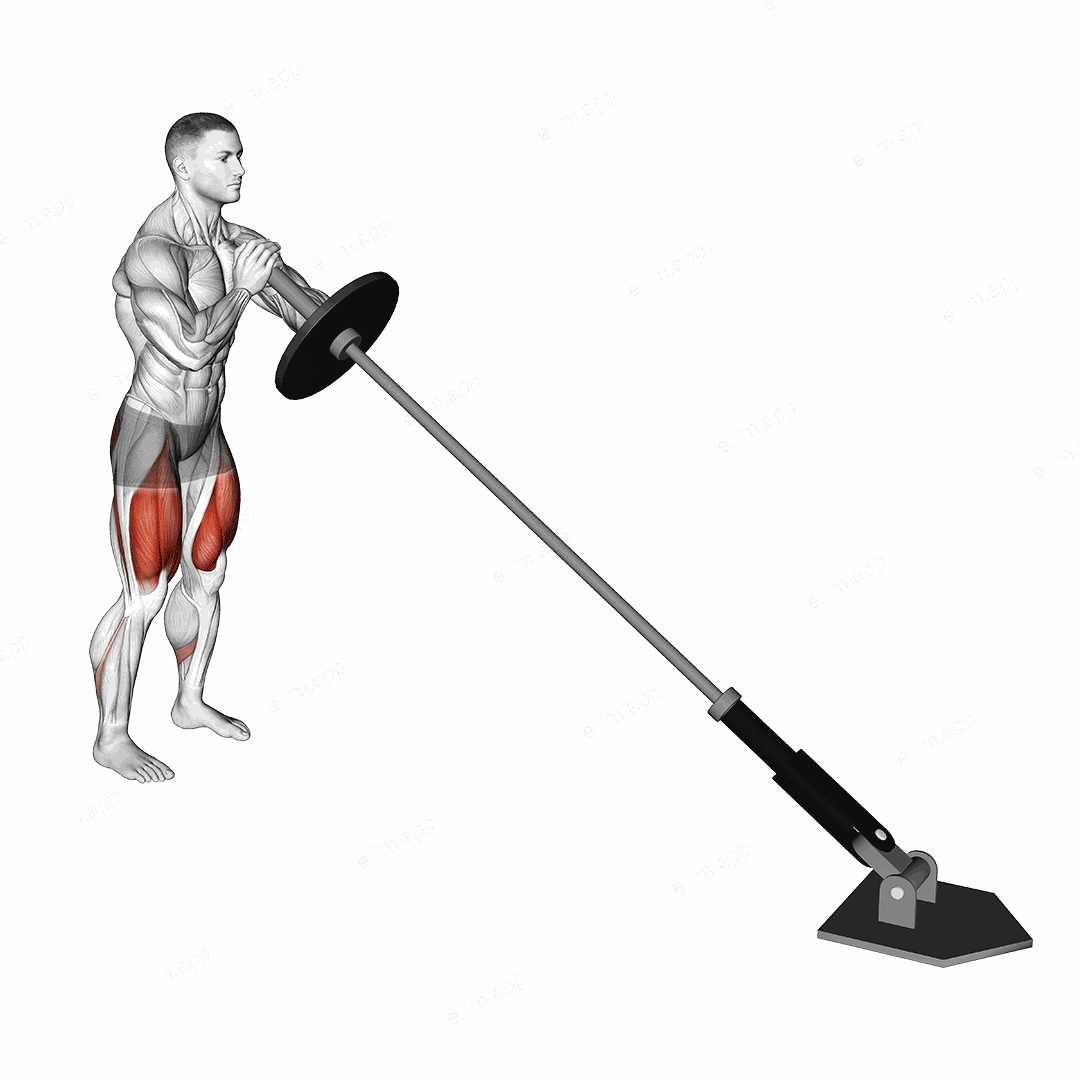 Landmine Front Squat exercise targeting Gluteus Maximus and Quadriceps