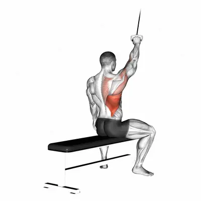 Alternate Lateral Pulldown exercise targeting Back and Latissimus Dorsi