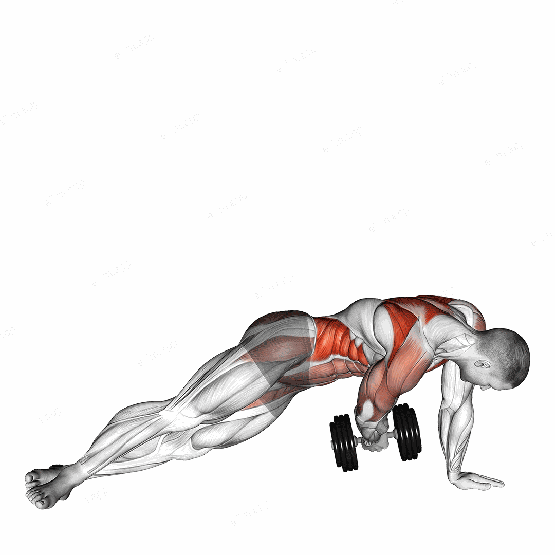 Dumbbell Side Plank with Rear Fly exercise targeting Waist and Infraspinatus