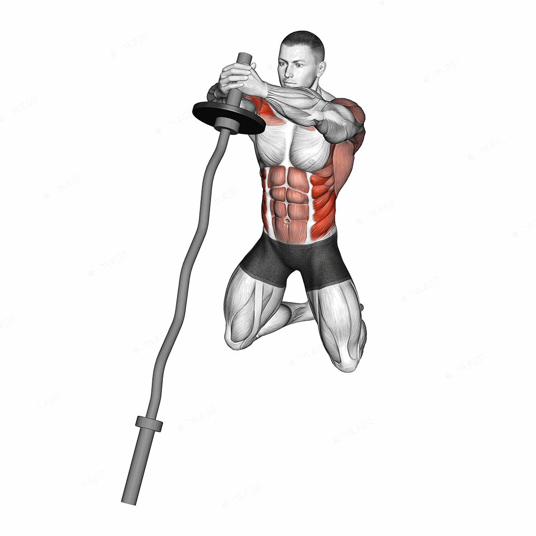 EZ Bar-Up Down Twist exercise targeting Waist