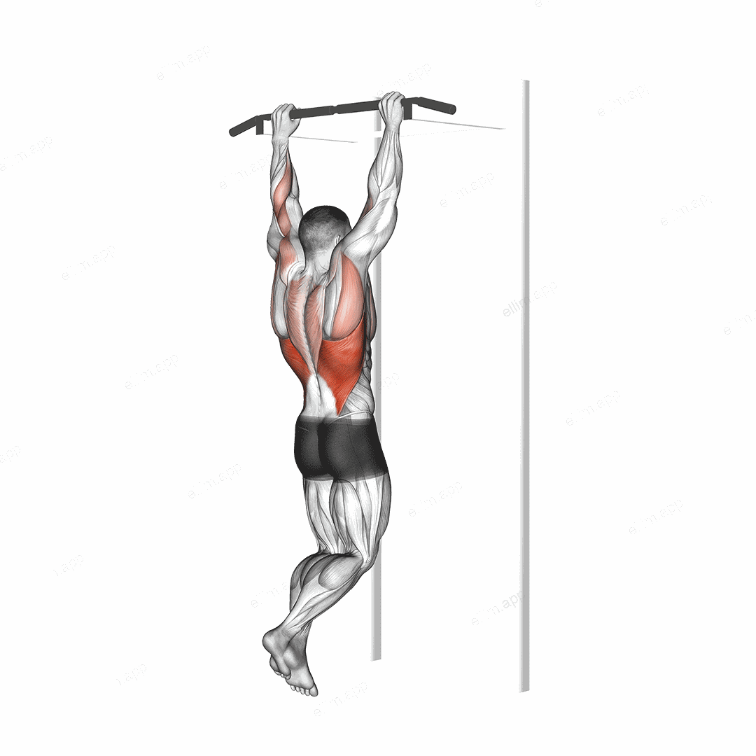 Gironda Sternum Chin exercise targeting Back and Latissimus Dorsi