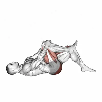 Single Leg Glute Bridge with Knee to Chest exercise targeting Hips and Gluteus Maximus