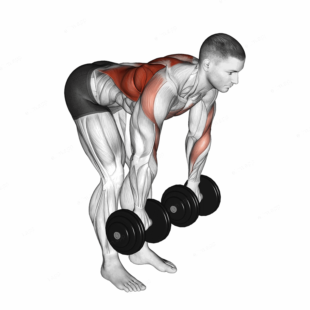 Dumbbell Palm Rotational Bent Over Row exercise targeting Back and Infraspinatus