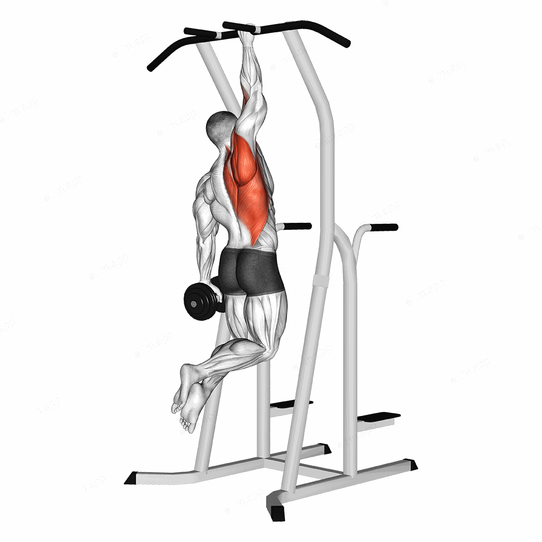 Weighted One Hand Pull-up exercise targeting Back