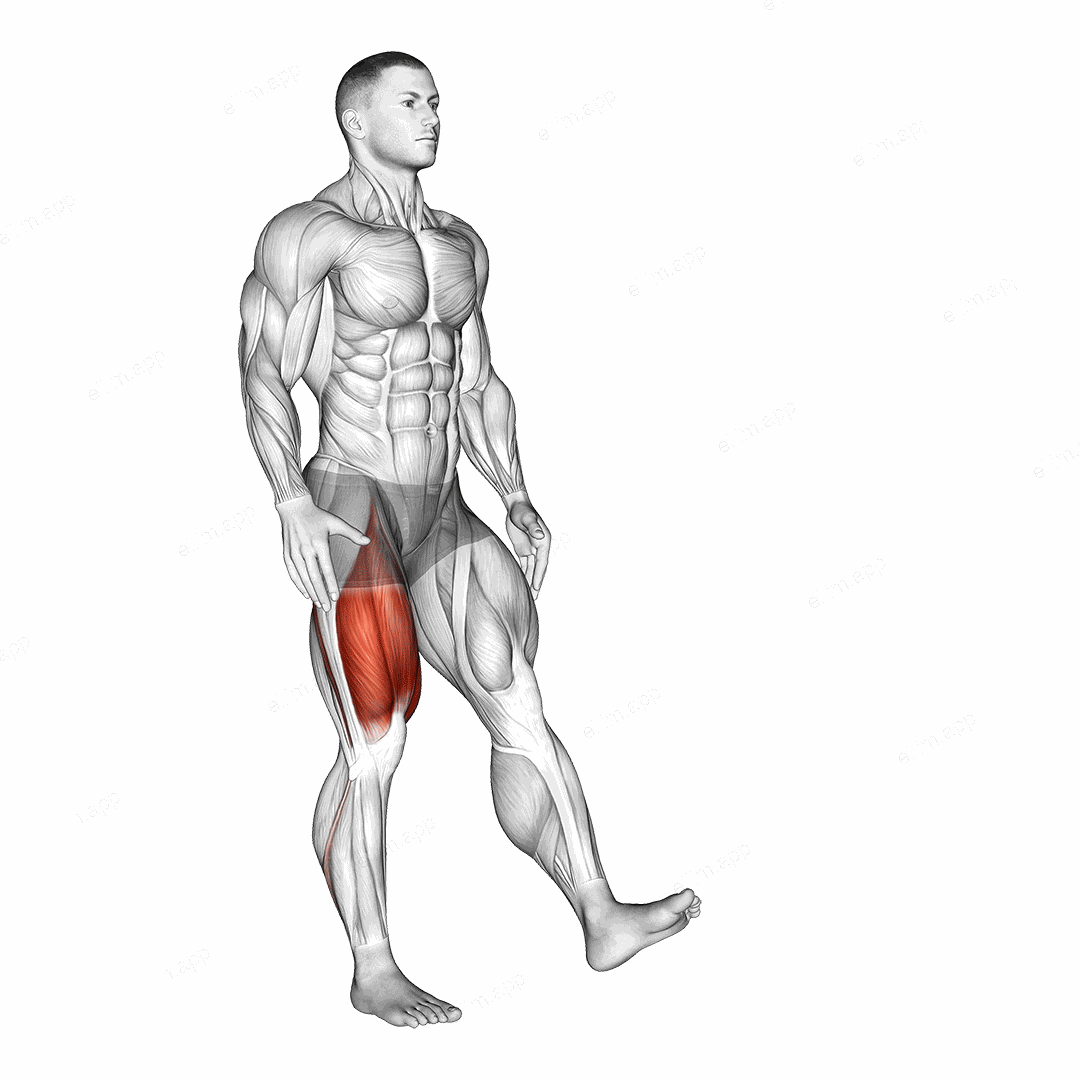 Single Leg Squat (pistol) exercise targeting Thighs and Gluteus Maximus