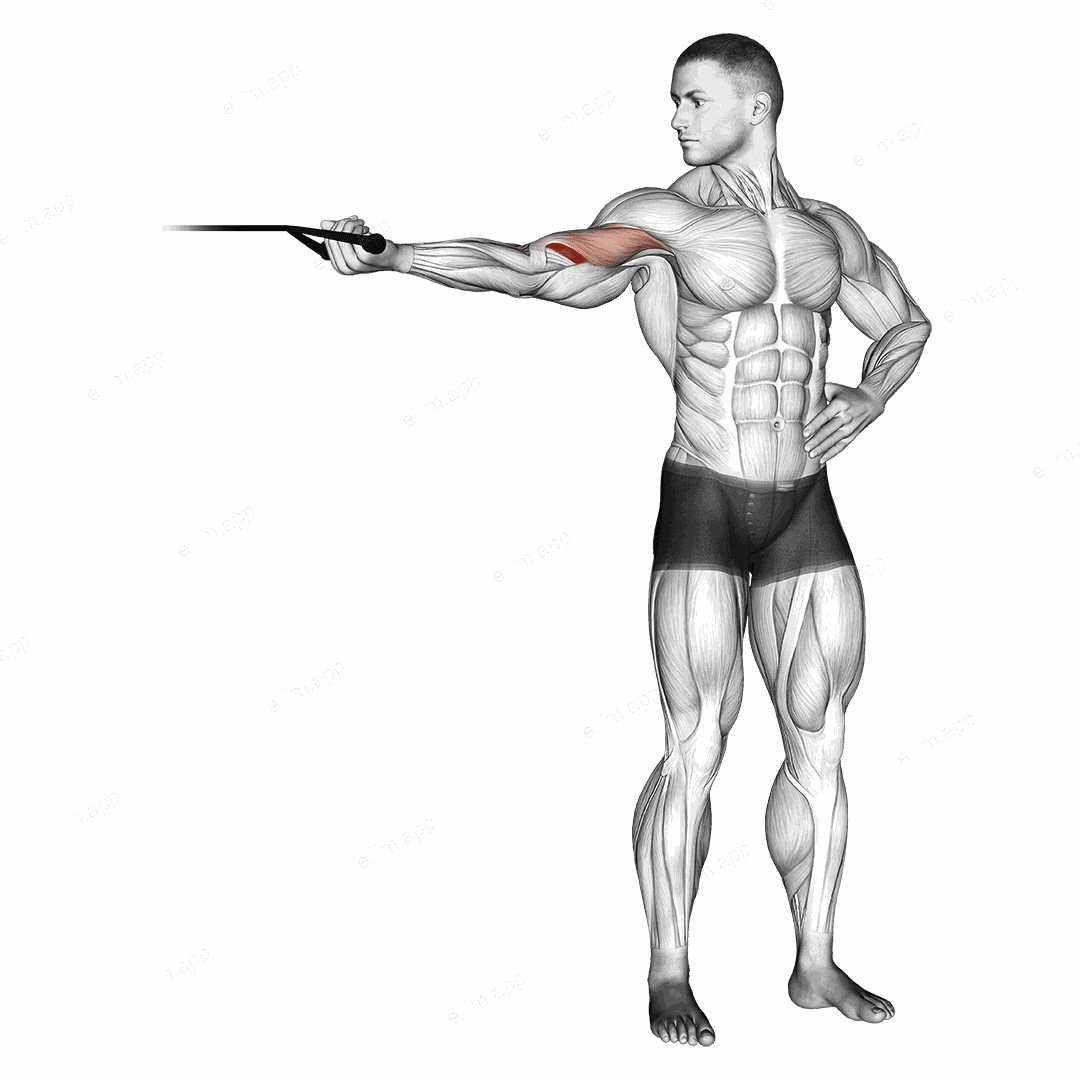Band one arm overhead biceps curl exercise targeting Upper Arms