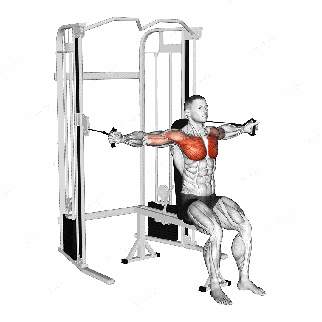 Cable Seated Chest Fly exercise targeting Chest
