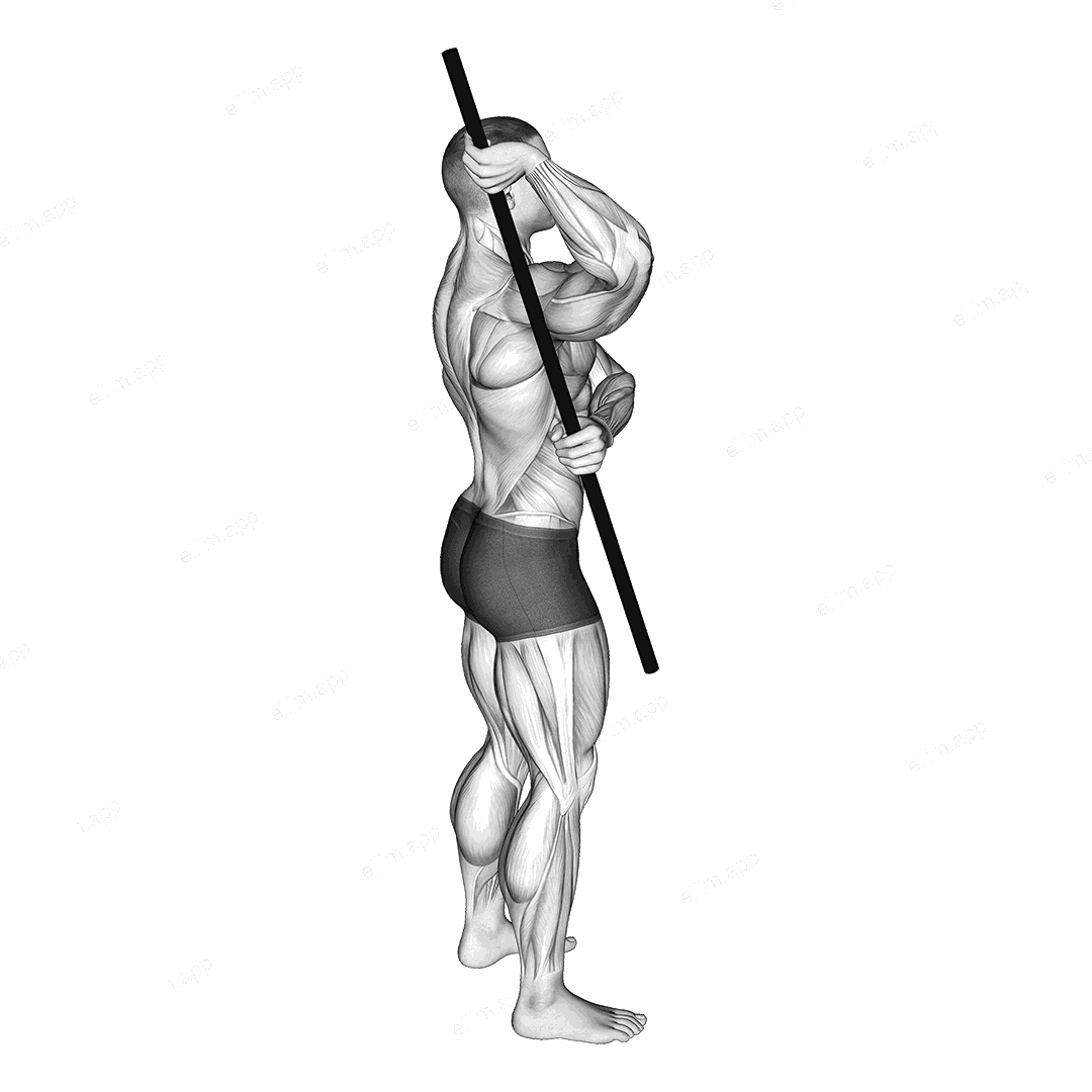 Arm Up Rotator Stretch exercise targeting Shoulders