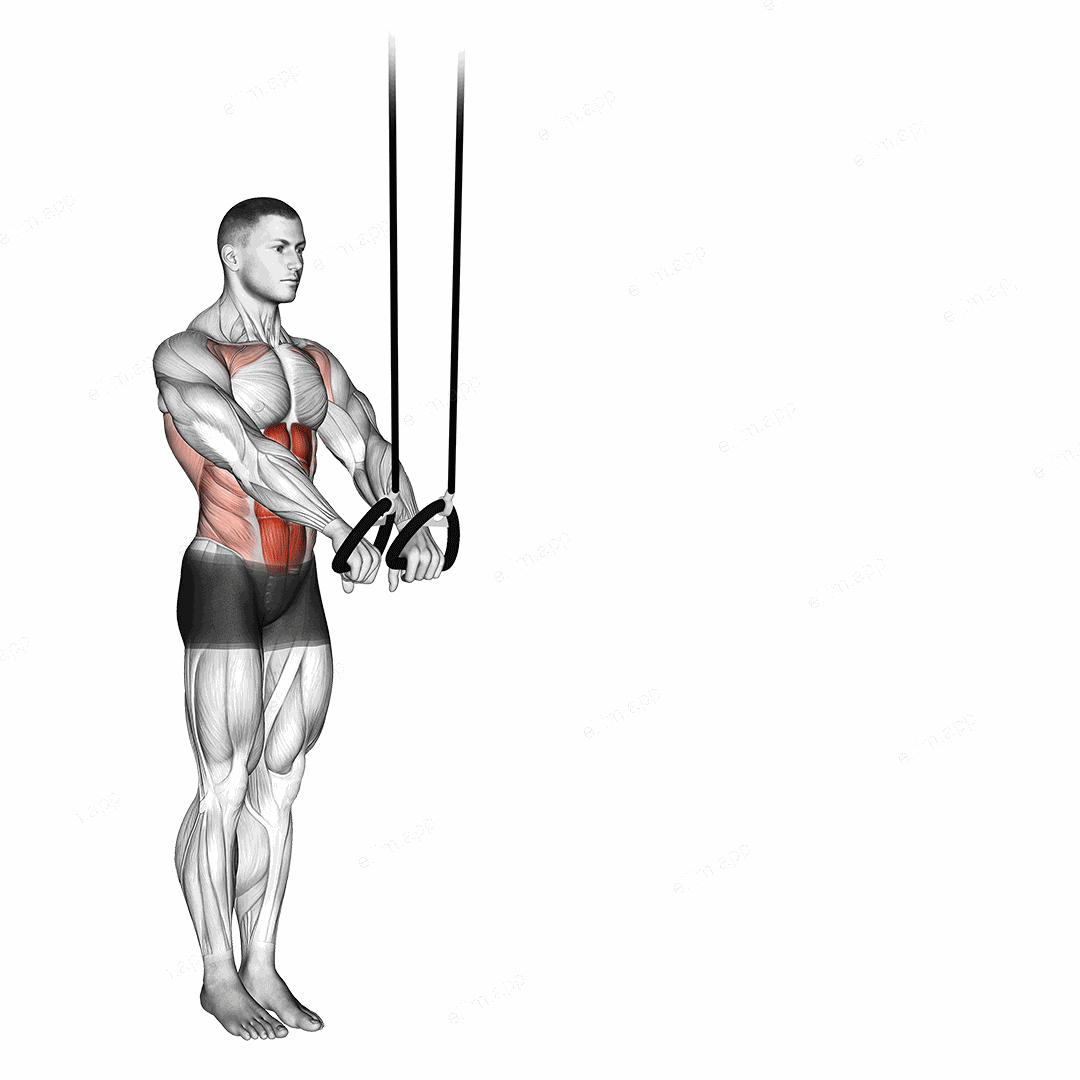 Suspended Abdominal Fallout exercise targeting Waist and Rectus Abdominis
