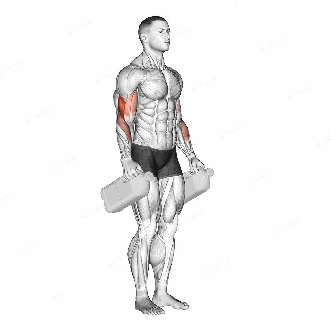 Bottle Hammer Curl exercise targeting Upper Arms and Brachialis