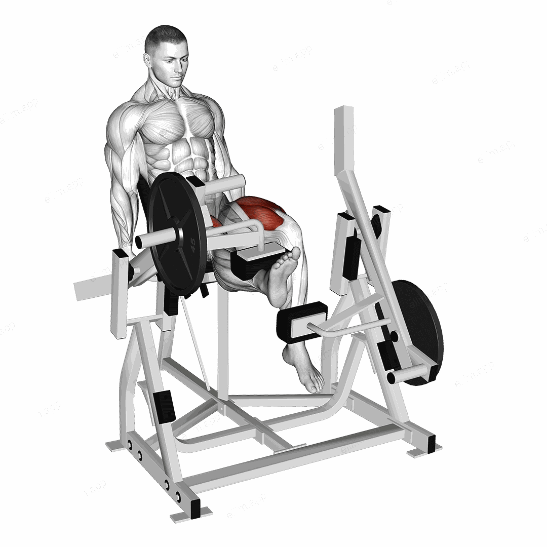 Lever Alternate Leg Extension (plate loaded) exercise targeting Thighs and Quadriceps