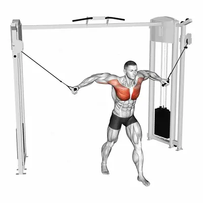 Cable Standing Fly exercise targeting Chest and Pectoralis Major Sternal Head