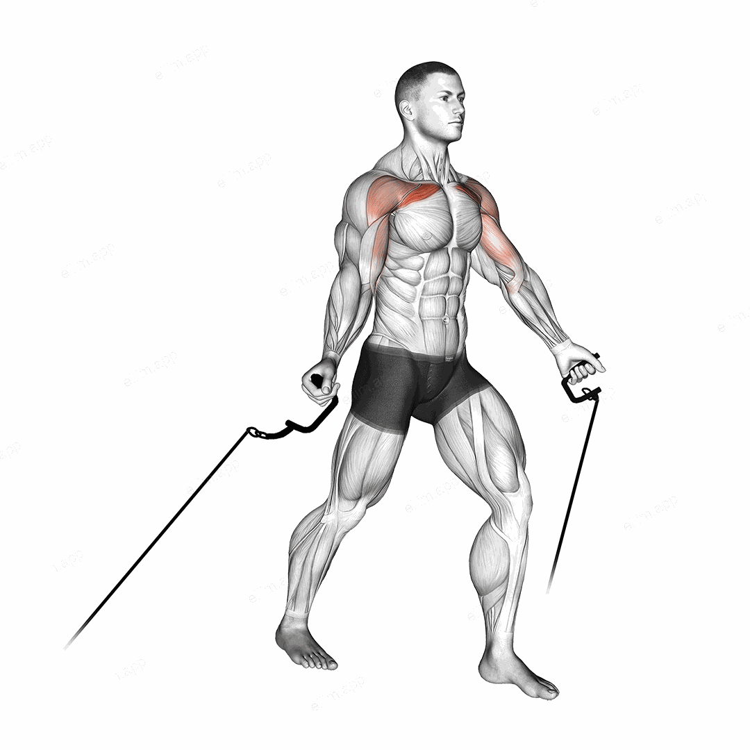 Cable Low Fly exercise targeting Chest and Pectoralis Major Clavicular Head