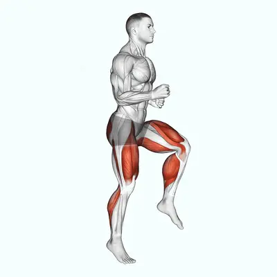 Half Knee Bends exercise targeting Cardio