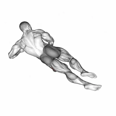 Roll Ball Lateral Vastus exercise targeting Thighs