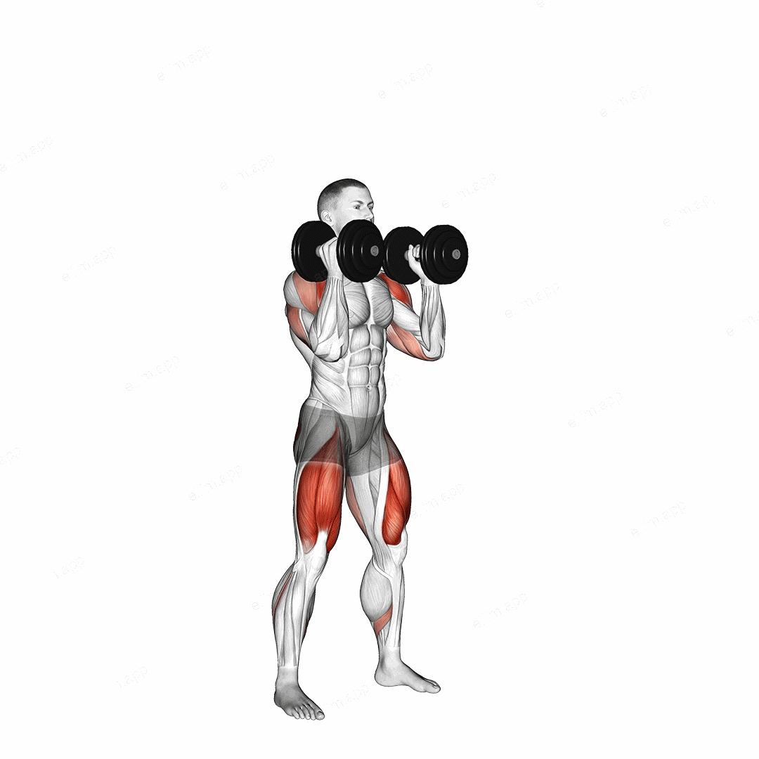 Dumbbell Thruster exercise targeting Deltoid Anterior and Gluteus Maximus