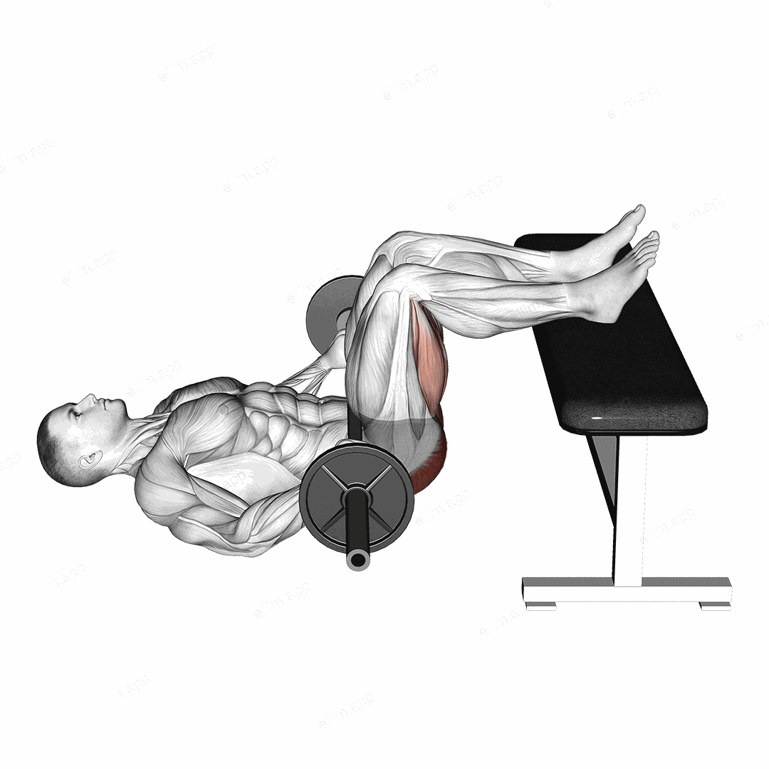 Barbell Glute Bridge Two Legs on Bench exercise targeting Hips and Gluteus Maximus