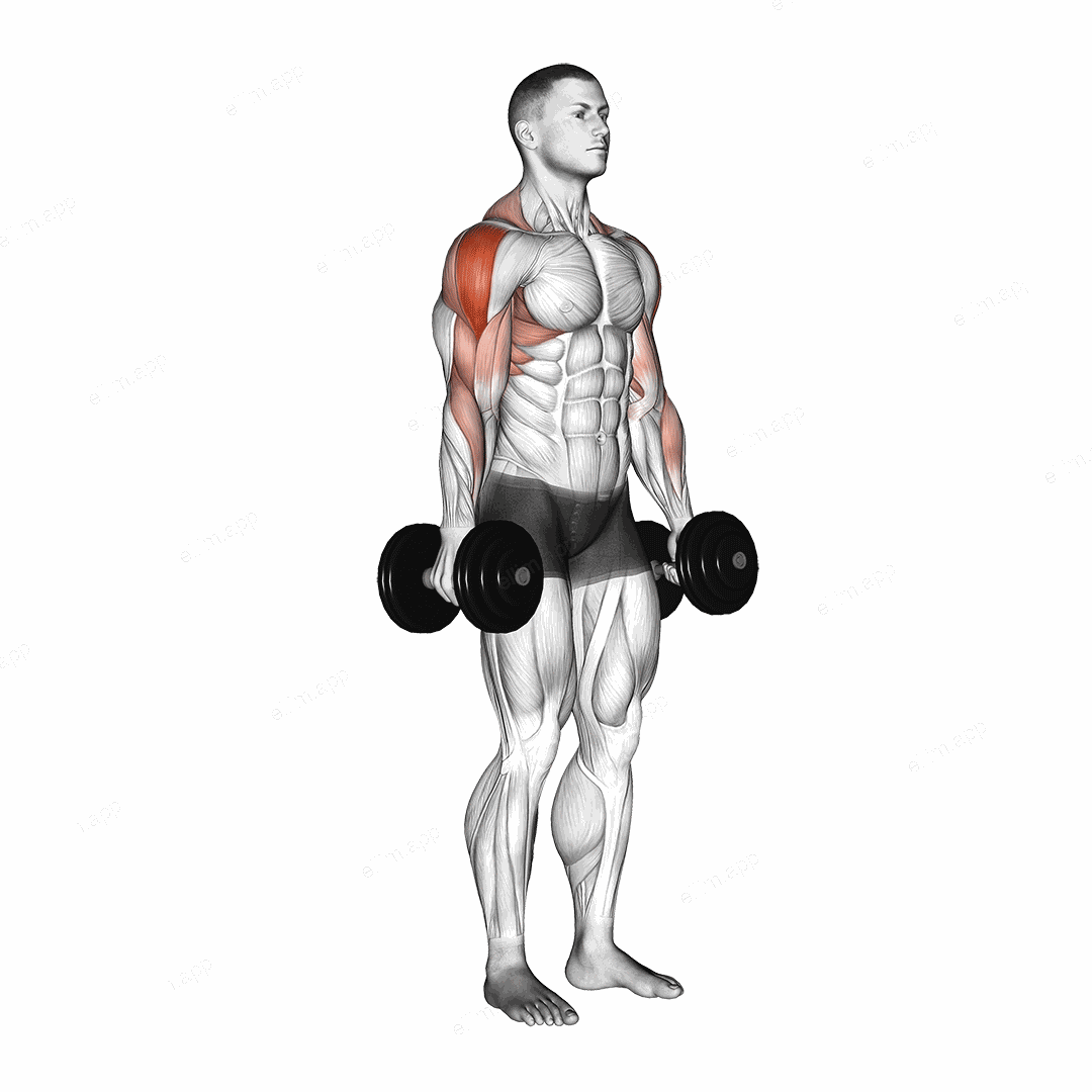 Dumbbell Raise exercise targeting Shoulders and Deltoid Lateral