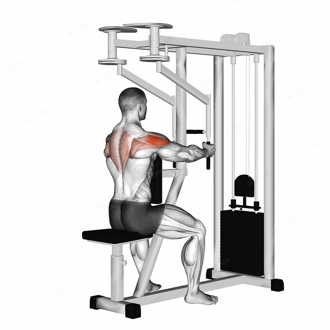 Lever Seated Reverse Fly (parallel grip) exercise targeting Shoulders and Deltoid Posterior