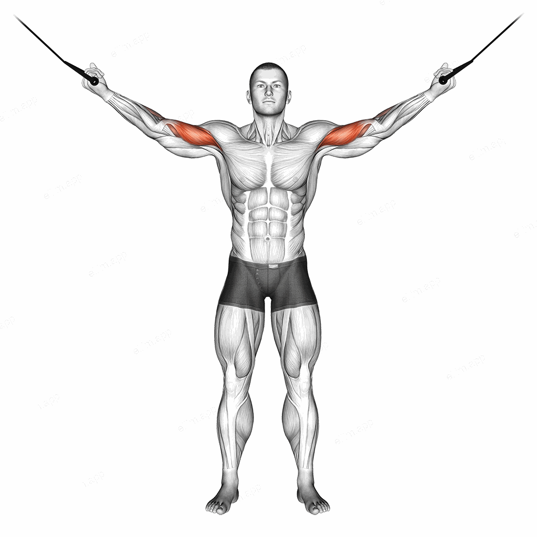 Cable Overhead Curl exercise targeting Upper Arms and Biceps Brachii