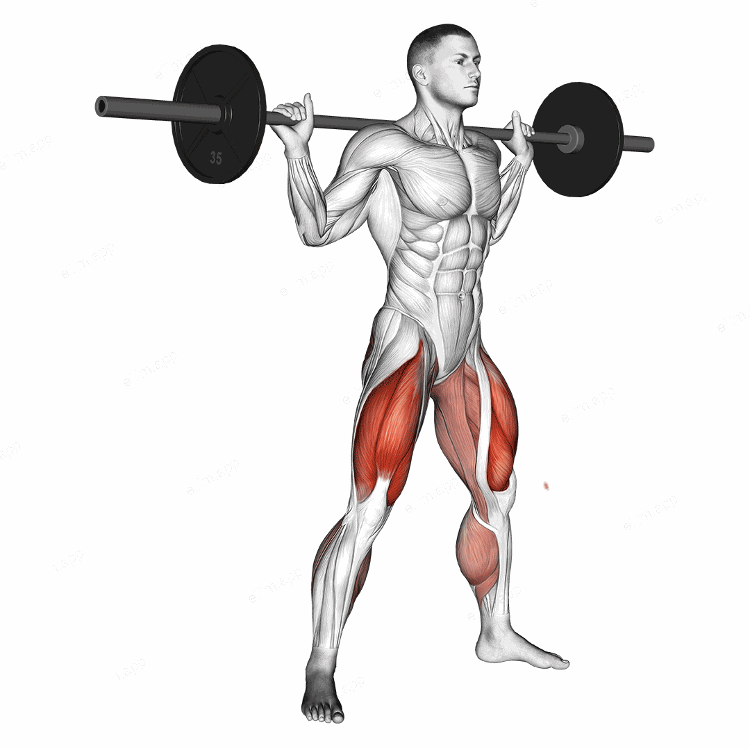 Barbell sumo squat exercise targeting Thighs and Gluteus Maximus