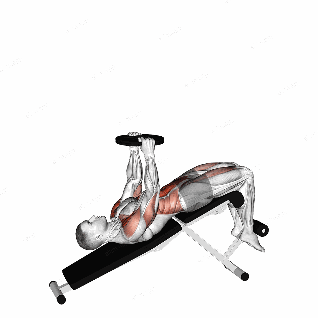 Weighted Decline Sit-up exercise targeting Deltoid Anterior and Iliopsoas