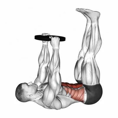 Weighted Straight Leg Toe Touch Crunch exercise targeting Waist