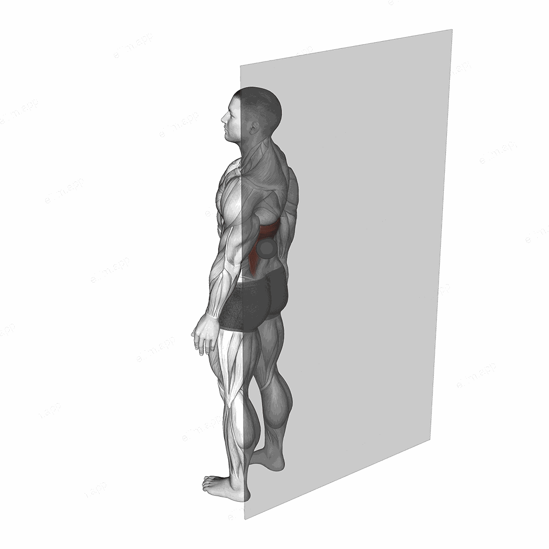 Roll Ball Latissimus Dorsi exercise targeting Back