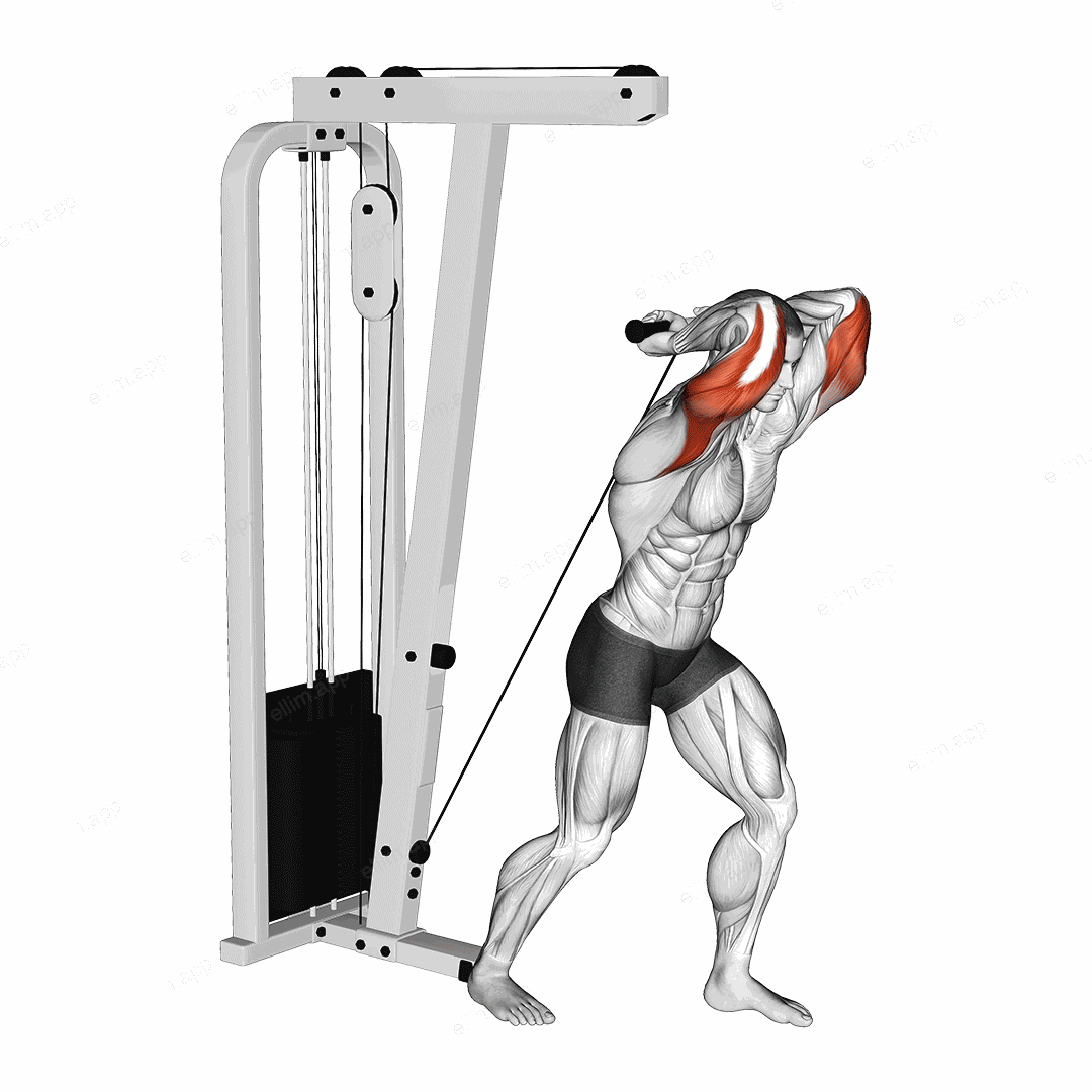 Cable Overhead Tricep Extension Straight Bar exercise targeting Upper Arms