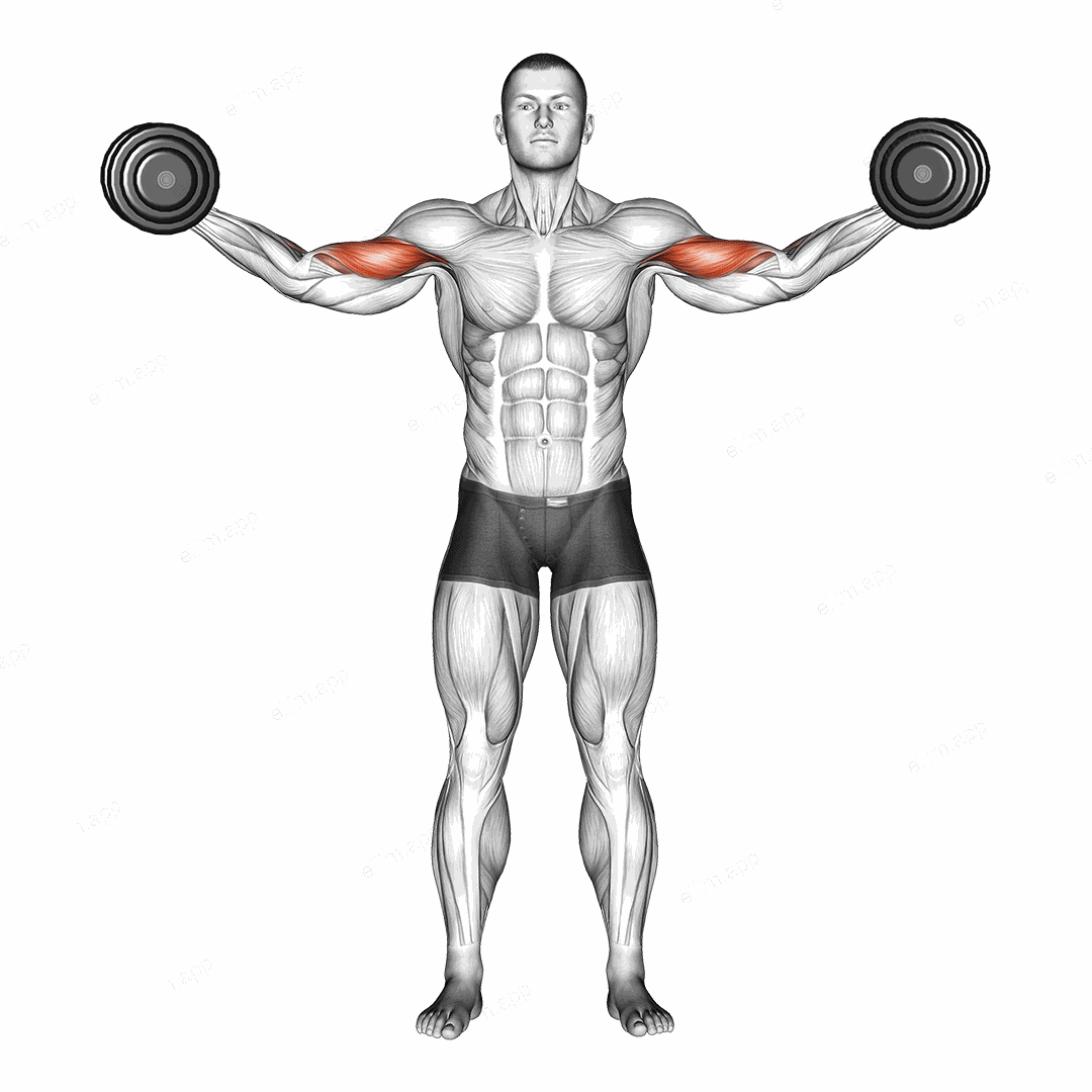 Dumbbell High Curl exercise targeting Upper Arms