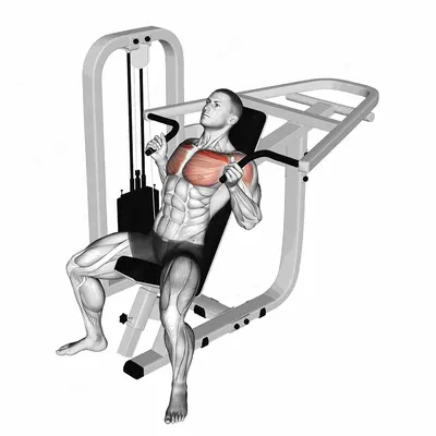 Lever Incline Hammer Chest Press exercise targeting Chest and Pectoralis Major Clavicular Head