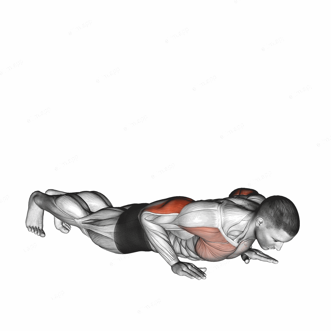 Reverse Dip exercise targeting Upper Arms and Triceps Brachii