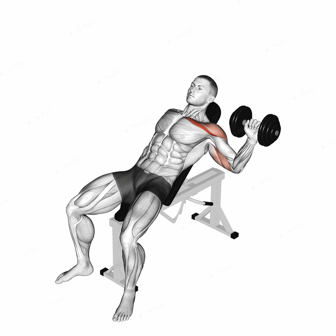 Dumbbell One Arm Incline Chest Press exercise targeting Chest and Pectoralis Major Clavicular Head