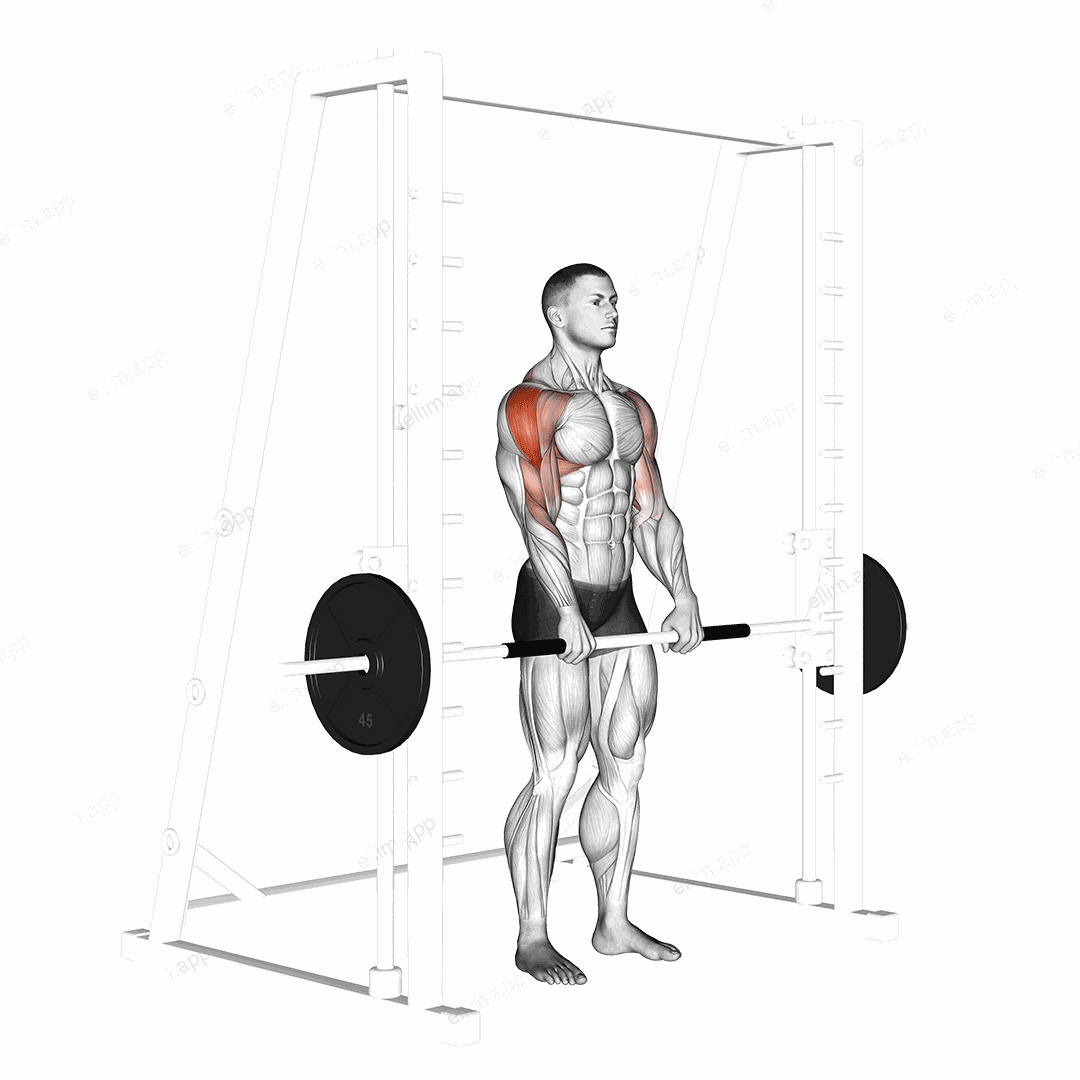 Smith Upright Row exercise targeting Shoulders and Deltoid Lateral