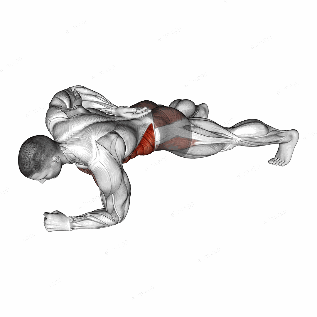 One Arm Front Plank exercise targeting Waist and Obliques