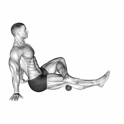Roll Ball Popliteal exercise targeting Thighs